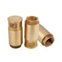 Válvula de retención inferior